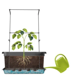 Magnus Kunststoff-Blumenkasten, Rechteckig. Ca. B98/H37/T38 Cm 15 Magnus Kunststoff-Blumenkasten, Rechteckig. Ca. B98/H37/T38 Cm -Pflanzen Promotion Geschäft 6997449 WE FS 004 MagnusKunststoffBlumenkastengrau