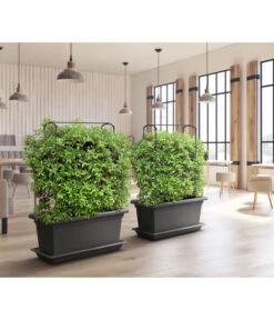 Magnus Kunststoff-Blumenkasten, Rechteckig. Ca. B98/H37/T38 Cm 11 Magnus Kunststoff-Blumenkasten, Rechteckig. Ca. B98/H37/T38 Cm -Pflanzen Promotion Geschäft 6997449 WE MO 001 MagnusKunststoffBlumenkastenschwarz