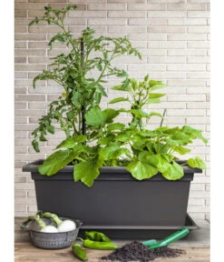 Magnus Kunststoff-Blumenkasten, Rechteckig. Ca. B98/H37/T38 Cm 13 Magnus Kunststoff-Blumenkasten, Rechteckig. Ca. B98/H37/T38 Cm -Pflanzen Promotion Geschäft 6997449 WE MO 003 MagnusKunststoffBlumenkastenschwarz