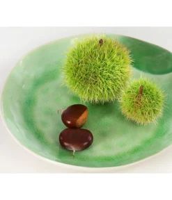 Esskastanie -Pflanzen Promotion Geschäft 7091580 PR DE 002 CastaneaSativaEsskastanieDehnerExpressHerzig