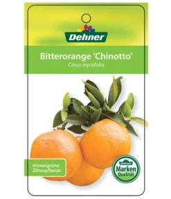 Bitterorange 'Chinotto' -Pflanzen Promotion Geschäft 7119803 BitterorangeChinottoEtikett1