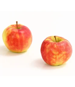 Herbstapfel 'Elstar'