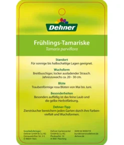Frühlings-Tamariske 5 Frühlings-Tamariske -Pflanzen Promotion Geschäft 7495427 Fruehlings Tamariske Etikett 2