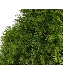 7 Meter Lebensbaum 'Smaragd', 20 X Ca. 100-125 Cm -Pflanzen Promotion Geschäft 7513534 WE DE 001 ThujaLebensbaumOccidentalisSmaragd20LDehnerExpressHerzig