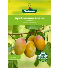 Dehner Aprikosenmirabelle 'Aprimira' 8 Dehner Aprikosenmirabelle 'Aprimira' -Pflanzen Promotion Geschäft 7600851 AprikosenmirabelleAprimira Etikett 1