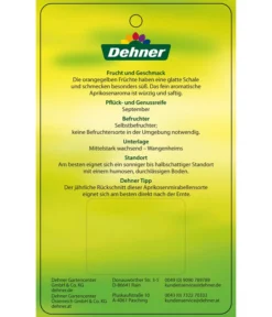 Dehner Aprikosenmirabelle 'Aprimira' 9 Dehner Aprikosenmirabelle 'Aprimira' -Pflanzen Promotion Geschäft 7600851 AprikosenmirabelleAprimira Etikett 2