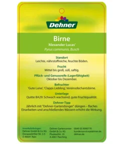 Winterbirne 'Alexander Lucas' -Pflanzen Promotion Geschäft 7602709 BirneAlexanderLucas Etikett 2