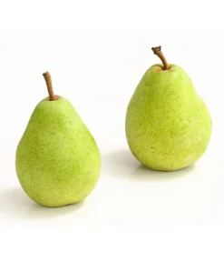 Winterbirne 'Alexander Lucas' -Pflanzen Promotion Geschäft 7602709 WE DE 007 BirneAlexanderLucasDehnerExpressHerzig