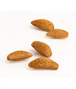 Mandelbaum 5 Mandelbaum -Pflanzen Promotion Geschäft 7603889 WE DE 002 MandelPalatinaPrunusDulcisDehnerExpressHerzig