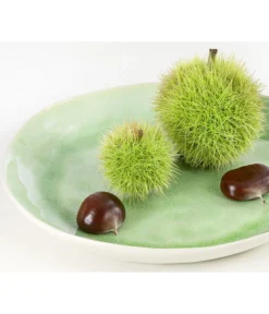 Esskastanie 'Bouche De Betizac' 7 Esskastanie 'Bouche De Betizac' -Pflanzen Promotion Geschäft 7621998 PR DE 002 CastaneaSativaBetizacEsskastanieDehnerExpressHerzig