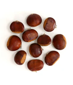 Esskastanie 'Bouche De Betizac' 8 Esskastanie 'Bouche De Betizac' -Pflanzen Promotion Geschäft 7621998 WE FS 003 EsskastanieMaroneCastaneaSativaDehnerExpressHerzig