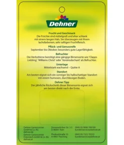 Herbstbirne 'Conference' 15 Herbstbirne 'Conference' -Pflanzen Promotion Geschäft 7625908 HerbstbirneConference Etikett 2