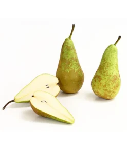 Herbstbirne 'Conference' 12 Herbstbirne 'Conference' -Pflanzen Promotion Geschäft 7625908 WE DE 006 BirneConferenceDehnerExpressHerzig