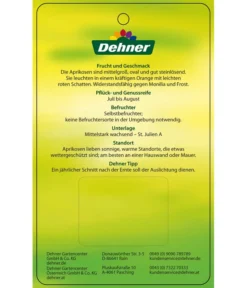 Aprikose 'Compacta' -Pflanzen Promotion Geschäft 7626021 AprikoseCompacta Etikett 2