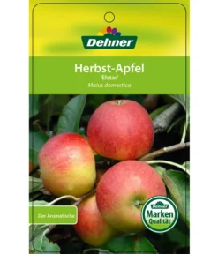 Herbstapfel 'Elstar' -Pflanzen Promotion Geschäft 7639164 HerbstapfelElstar Etikett 1