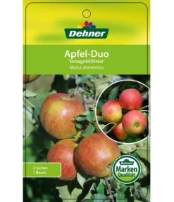 Apfel-Duo 'Jonagold'/'Elstar' -Pflanzen Promotion Geschäft 7639248 Apfel DuoJonagoldElstar Etikett 1