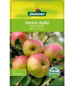Herbstapfel 'Gravensteiner' -Pflanzen Promotion Geschäft 7657398 HerbstapfelGravensteiner Etikett 1
