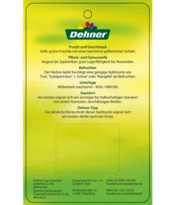 Herbstapfel 'Gravensteiner' -Pflanzen Promotion Geschäft 7657398 HerbstapfelGravensteiner Etikett 2