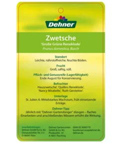 Dehner Reneklode 'Große Grüne Reneklode' -Pflanzen Promotion Geschäft 7657802 ReneklodeGrosseGrueneReneklode Etikett 2