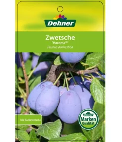 Zwetschge 'Haroma' -Pflanzen Promotion Geschäft 7662703 ZwetscheHaroma Etikett 1