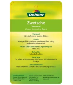 Zwetschge 'Hermann' 5 Zwetschge 'Hermann' -Pflanzen Promotion Geschäft 7666688 ZwetschgeHermann Etikett 2