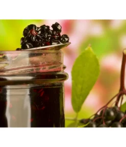 Holunder 'Black Lace' 6 Holunder 'Black Lace' -Pflanzen Promotion Geschäft 7670896 WE MO 003 Holunder