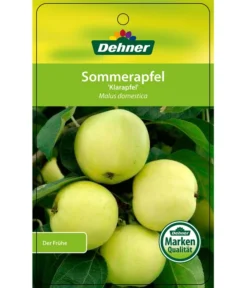 Sommerapfel 'Klarapfel', Weiß -Pflanzen Promotion Geschäft 7701386 SommerapfelKlarapfel Etikett 1