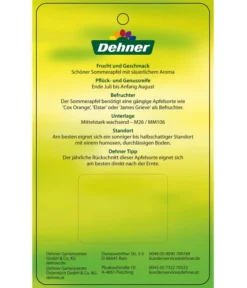 Sommerapfel 'Klarapfel', Weiß -Pflanzen Promotion Geschäft 7701386 SommerapfelKlarapfel Etikett 2