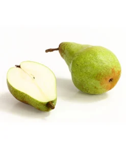 Winterbirne 'Novembra' -Pflanzen Promotion Geschäft 7723695 WE DE 004 BirneNovemberDehnerExpressHerzig