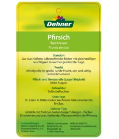 Dehner Pfirsich 'Red Haven' -Pflanzen Promotion Geschäft 7728827 PfirsichRedHeaven Etikett 2