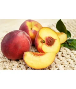 Gelbfleischiger Pfirsich -Pflanzen Promotion Geschäft 7728843 PR FS 001 GelbfleischigerPfirsichPixabay