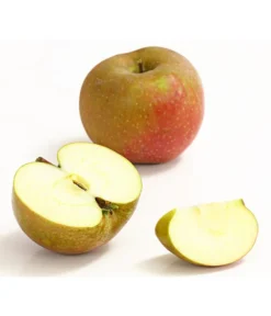 Winterapfel 'Roter Boskoop' -Pflanzen Promotion Geschäft 7745409 WE DE 002 ApfelBoskoopDehnerExpressHerzig