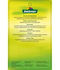 Winterapfel 'Roter Boskoop' -Pflanzen Promotion Geschäft 7745409 WinterapfelRoterBoskoop Etikett 2