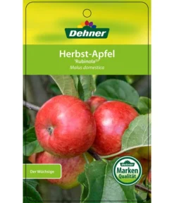 Herbstapfel 'Rubinola' -Pflanzen Promotion Geschäft 7747165 HerbstapfelRubinola Etikett 1