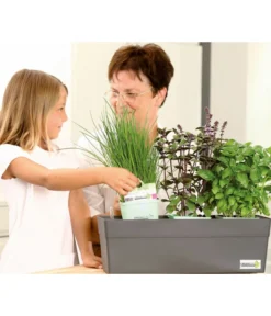 GREENBAR® Naschtomate -Pflanzen Promotion Geschäft 7750482 WE MO 009 GreenbarAnleitungIndoor