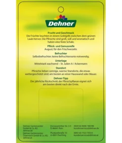 Pfirsich 'Suncrest' -Pflanzen Promotion Geschäft 7760754 GelbfleischigerPfirsichSuncrest Etikett 2