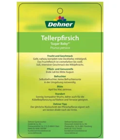 Tellerpfirsich 'Sugar Baby' -Pflanzen Promotion Geschäft 7763352 TellerpfirsichSugarBaby Etikett 2