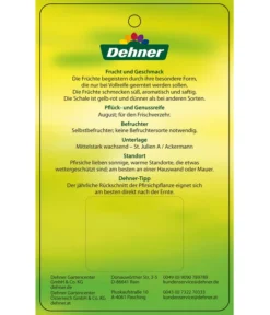 Dehner Tellerpfirsich -Pflanzen Promotion Geschäft 7763378 Tellerpfirsich Etikett 2