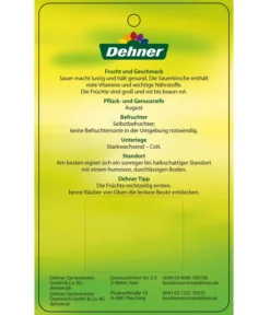 Sauerkirsche 'Ungarische Traubige', Busch 7 Sauerkirsche 'Ungarische Traubige', Busch -Pflanzen Promotion Geschäft 7769813 SauerkirscheUngarischeTraubige Etikett 2