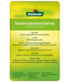 Herbstbirne 'Vereinsdechant' 9 Herbstbirne 'Vereinsdechant' -Pflanzen Promotion Geschäft 7772064 BirneVereinsdechant Etikett 2
