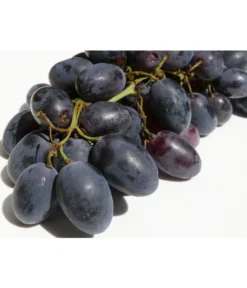 Tafeltraube 'Georg' -Pflanzen Promotion Geschäft 7773575 WE DE 001 VitisWeinGeorgPixabay