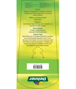 Tafeltraube 'Katharina' -Pflanzen Promotion Geschäft 7773716 TafeltraubeKatharina Etikett 2