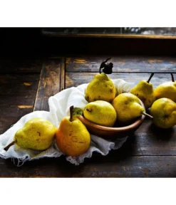 Sommerbirne 'Williams Christ' -Pflanzen Promotion Geschäft 7780539 WE MO 001 PyrusBirneWilliamsChrist