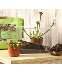 Karnivoren-Erde -Pflanzen Promotion Geschäft 7976103 WE MO 001 KarnivorenErdeSubstratFuerFleischfressendePflanzen3LiterDehnerExpressHerzig