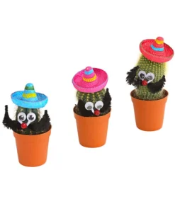 Kaktus Mit Sombrero - Cactaceae, Verschiedene Sorten -Pflanzen Promotion Geschäft 7977291 PR FS 001 KakteenMitSombreroRetDehnerExpressHerzig
