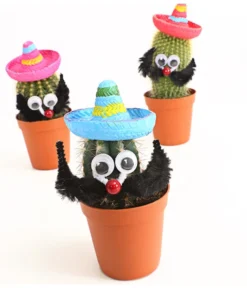 Kaktus Mit Sombrero - Cactaceae, Verschiedene Sorten -Pflanzen Promotion Geschäft 7977291 WE DE 001 KakteenMitSombreroDehnerExpressHerzig