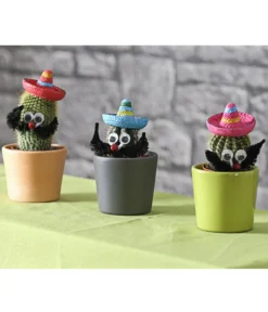 Kaktus Mit Sombrero - Cactaceae, Verschiedene Sorten -Pflanzen Promotion Geschäft 7977291 WE MO 001 KakteenMitSombreroDehnerExpressHerzig