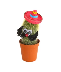 Kaktus Mit Sombrero - Cactaceae, Verschiedene Sorten -Pflanzen Promotion Geschäft 7977291 WE PR 003 KaktusRotMitSombreroDehnerExpressHerzig