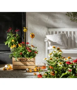 Sonnenhut -Pflanzen Promotion Geschäft 8012619 WE MO 001 EchinaceaPurpurea3LSonnenhutThemaBieneEchinaceamitPeople GC10 2020 01