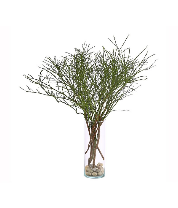 Heidelbeere-Bund, Ca. 40-50 Cm 2 Heidelbeere-Bund, Ca. 40-50 Cm – Bild 2